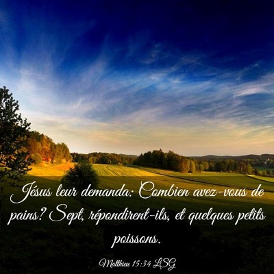 Picture 03 - Matthieu 15:34 LSG - Jésus leur demanda: Combien avez-vous de pains? - Bible Verse Picture