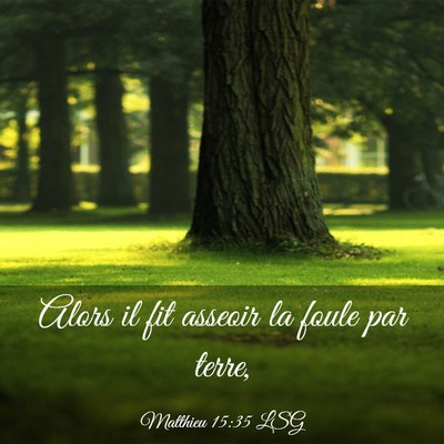 Picture 03 - Matthieu 15:35 LSG - Alors il fit asseoir la foule par - Bible Verse Picture