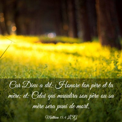 Picture 03 - Matthieu 15:4 LSG - Car Dieu a dit: Honore ton père et ta mère; et: - Bible Verse Picture