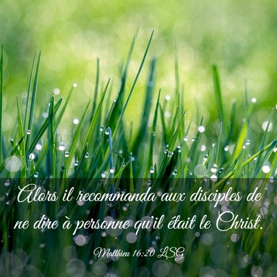 Picture 03 - Matthieu 16:20 LSG - Alors il recommanda aux disciples de ne dire à - Bible Verse Picture