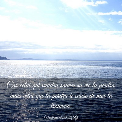 Picture 03 - Matthieu 16:25 LSG - Car celui qui voudra sauver sa vie la perdra, - Bible Verse Picture