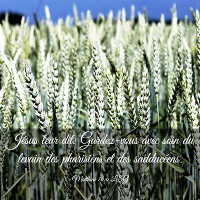Picture 03 - Matthieu 16:6 LSG - Jésus leur dit: Gardez-vous avec soin du levain - Bible Verse Picture