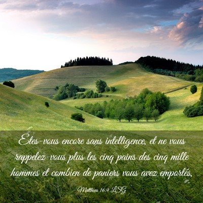 Picture 03 - Matthieu 16:9 LSG - Etes-vous encore sans intelligence, et ne vous - Bible Verse Picture