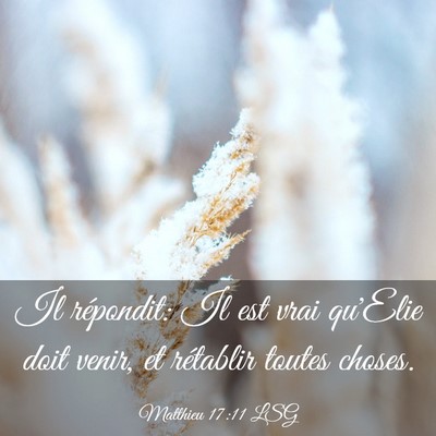 Picture 03 - Matthieu 17:11 LSG - Il répondit: Il est vrai qu'Elie doit venir, et - Bible Verse Picture