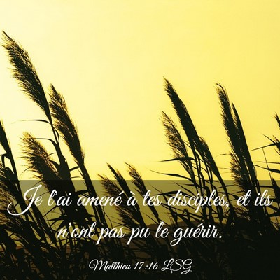 Picture 03 - Matthieu 17:16 LSG - Je l'ai amené à tes disciples, et ils n'ont pas - Bible Verse Picture