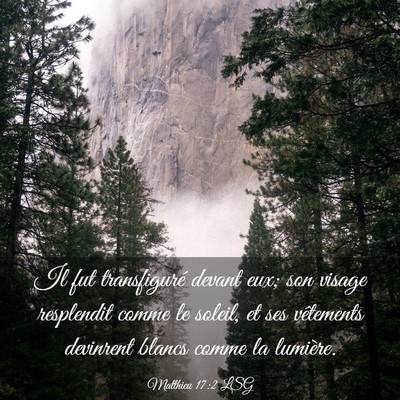 Picture 03 - Matthieu 17:2 LSG - Il fut transfiguré devant eux; son visage - Bible Verse Picture