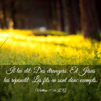 Picture 03 - Matthieu 17:26 LSG - Il lui dit: Des étrangers. Et Jésus lui - Bible Verse Picture