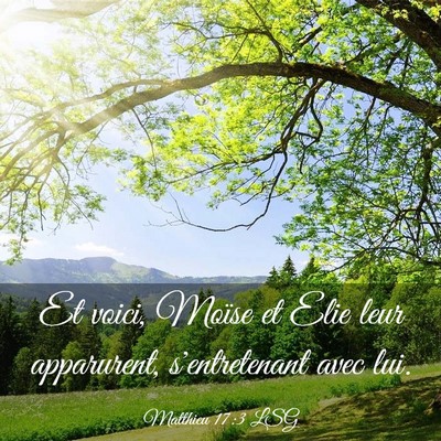 Picture 03 - Matthieu 17:3 LSG - Et voici, Moïse et Elie leur apparurent, - Bible Verse Picture