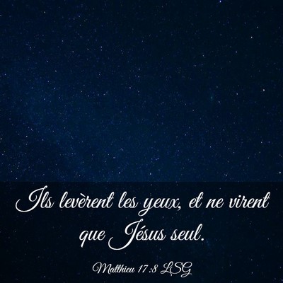 Picture 03 - Matthieu 17:8 LSG - Ils levèrent les yeux, et ne virent que Jésus - Bible Verse Picture