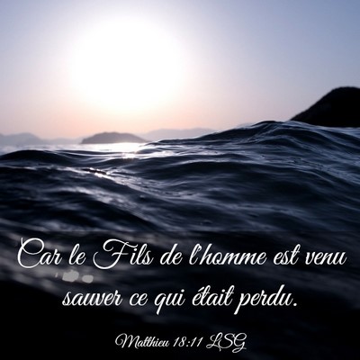 Picture 03 - Matthieu 18:11 LSG - Car le Fils de l'homme est venu sauver ce qui - Bible Verse Picture