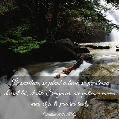 Picture 03 - Matthieu 18:26 LSG - Le serviteur, se jetant à terre, se prosterna - Bible Verse Picture