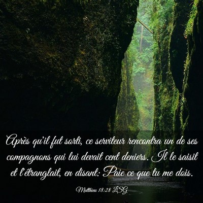 Picture 03 - Matthieu 18:28 LSG - Après qu'il fut sorti, ce serviteur rencontra un - Bible Verse Picture