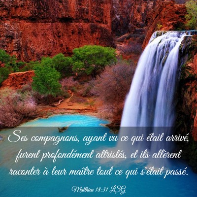 Picture 03 - Matthieu 18:31 LSG - Ses compagnons, ayant vu ce qui était arrivé, - Bible Verse Picture