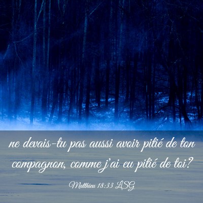 Picture 03 - Matthieu 18:33 LSG - ne devais-tu pas aussi avoir pitié de ton - Bible Verse Picture