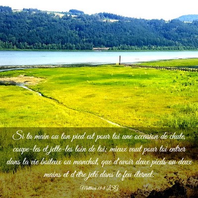 Picture 03 - Matthieu 18:8 LSG - Si ta main ou ton pied est pour toi une occasion - Bible Verse Picture