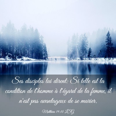 Picture 03 - Matthieu 19:10 LSG - Ses disciples lui dirent: Si telle est la - Bible Verse Picture