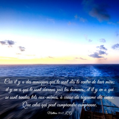 Picture 03 - Matthieu 19:12 LSG - Car il y a des eunuques qui le sont dès le - Bible Verse Picture