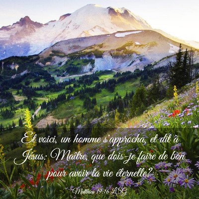 Picture 03 - Matthieu 19:16 LSG - Et voici, un homme s'approcha, et dit à Jésus: - Bible Verse Picture