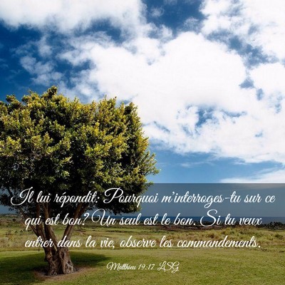 Picture 03 - Matthieu 19:17 LSG - Il lui répondit: Pourquoi m'interroges-tu sur ce - Bible Verse Picture