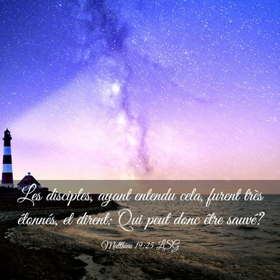 Picture 03 - Matthieu 19:25 LSG - Les disciples, ayant entendu cela, furent très - Bible Verse Picture