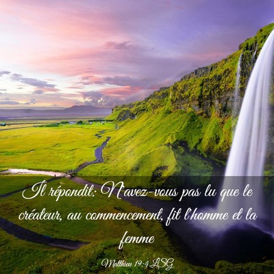 Picture 03 - Matthieu 19:4 LSG - Il répondit: N'avez-vous pas lu que le - Bible Verse Picture