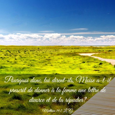 Picture 03 - Matthieu 19:7 LSG - Pourquoi donc, lui dirent-ils, Moïse a-t-il - Bible Verse Picture