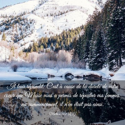 Picture 03 - Matthieu 19:8 LSG - Il leur répondit: C'est à cause de la dureté - Bible Verse Picture