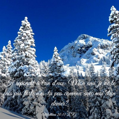 Picture 03 - Matthieu 20:13 LSG - Il répondit à l'un d'eux: Mon ami, je ne te - Bible Verse Picture