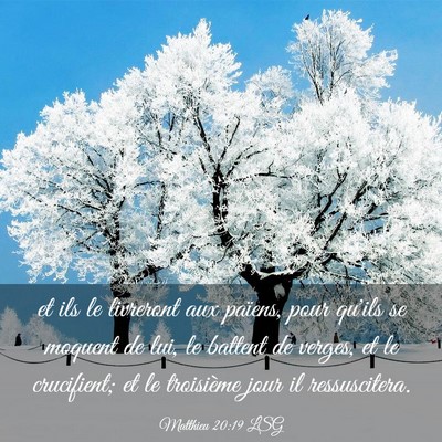 Picture 03 - Matthieu 20:19 LSG - et ils le livreront aux païens, pour qu'ils se - Bible Verse Picture