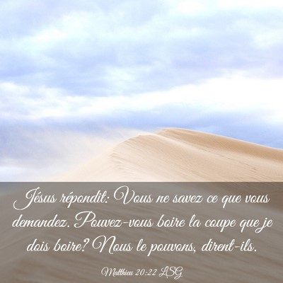 Picture 03 - Matthieu 20:22 LSG - Jésus répondit: Vous ne savez ce que vous - Bible Verse Picture