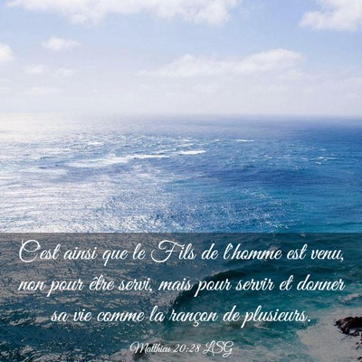 Picture 03 - Matthieu 20:28 LSG - C'est ainsi que le Fils de l'homme est venu, non - Bible Verse Picture