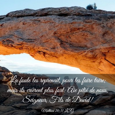 Picture 03 - Matthieu 20:31 LSG - La foule les reprenait, pour les faire taire; - Bible Verse Picture