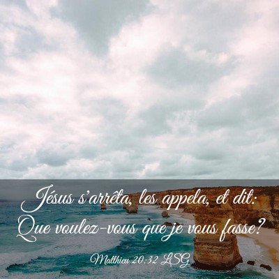 Picture 03 - Matthieu 20:32 LSG - Jésus s'arrêta, les appela, et dit: Que - Bible Verse Picture