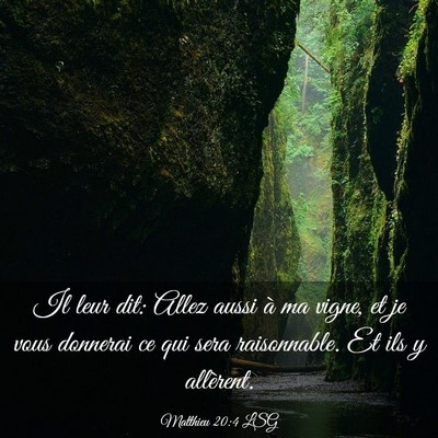 Picture 03 - Matthieu 20:4 LSG - Il leur dit: Allez aussi à ma vigne, et je vous - Bible Verse Picture