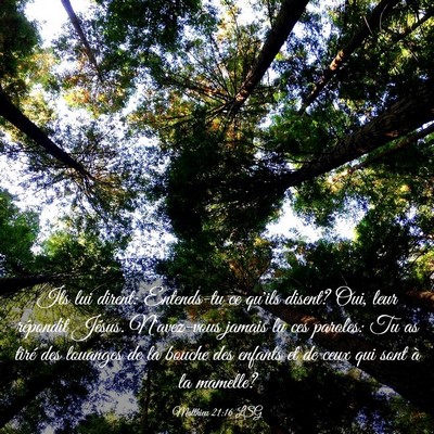 Picture 03 - Matthieu 21:16 LSG - Ils lui dirent: Entends-tu ce qu'ils disent? Oui, - Bible Verse Picture