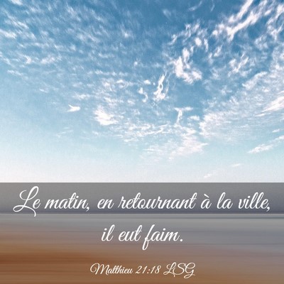 Picture 03 - Matthieu 21:18 LSG - Le matin, en retournant à la ville, il eut - Bible Verse Picture