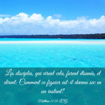 Picture 03 - Matthieu 21:20 LSG - Les disciples, qui virent cela, furent étonnés, - Bible Verse Picture