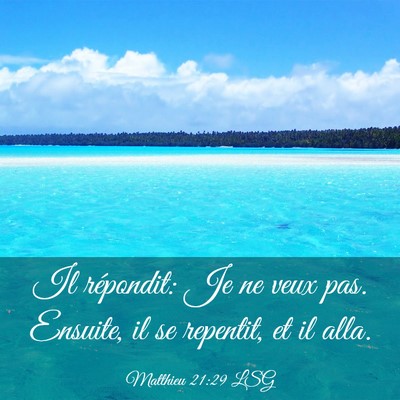 Picture 03 - Matthieu 21:29 LSG - Il répondit: Je ne veux pas. Ensuite, il se - Bible Verse Picture