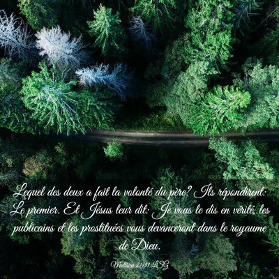 Picture 03 - Matthieu 21:31 LSG - Lequel des deux a fait la volonté du père? Ils - Bible Verse Picture