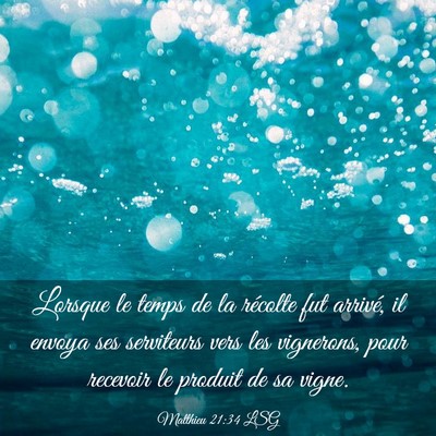 Picture 03 - Matthieu 21:34 LSG - Lorsque le temps de la récolte fut arrivé, il - Bible Verse Picture