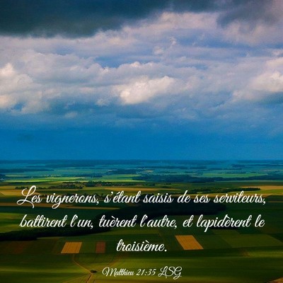 Picture 03 - Matthieu 21:35 LSG - Les vignerons, s'étant saisis de ses serviteurs, - Bible Verse Picture