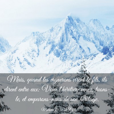 Picture 03 - Matthieu 21:38 LSG - Mais, quand les vignerons virent le fils, ils - Bible Verse Picture