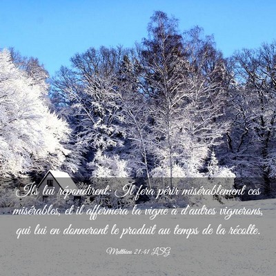 Picture 03 - Matthieu 21:41 LSG - Ils lui répondirent: Il fera périr - Bible Verse Picture