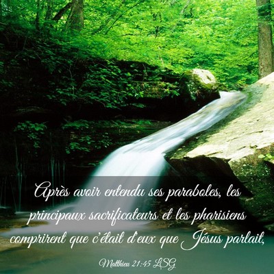 Picture 03 - Matthieu 21:45 LSG - Après avoir entendu ses paraboles, les - Bible Verse Picture