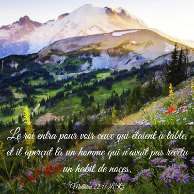 Picture 03 - Matthieu 22:11 LSG - Le roi entra pour voir ceux qui étaient à - Bible Verse Picture