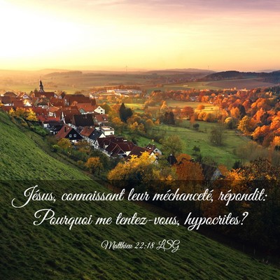 Picture 03 - Matthieu 22:18 LSG - Jésus, connaissant leur méchanceté, répondit: - Bible Verse Picture