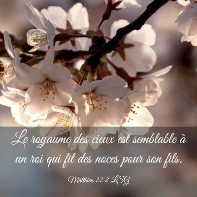 Picture 03 - Matthieu 22:2 LSG - Le royaume des cieux est semblable à un roi qui - Bible Verse Picture