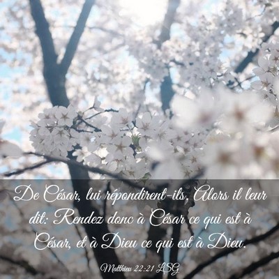 Picture 03 - Matthieu 22:21 LSG - De César, lui répondirent-ils. Alors il leur - Bible Verse Picture