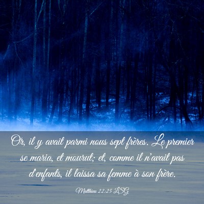 Picture 03 - Matthieu 22:25 LSG - Or, il y avait parmi nous sept frères. Le - Bible Verse Picture