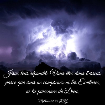 Picture 03 - Matthieu 22:29 LSG - Jésus leur répondit: Vous êtes dans l'erreur, - Bible Verse Picture